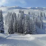 Olimpijska Kuca - A309 *