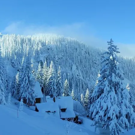 Apartamento Olimpijska Kuca - A309 *