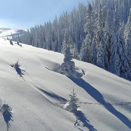 Olimpijska Kuca - A309 דירה *
