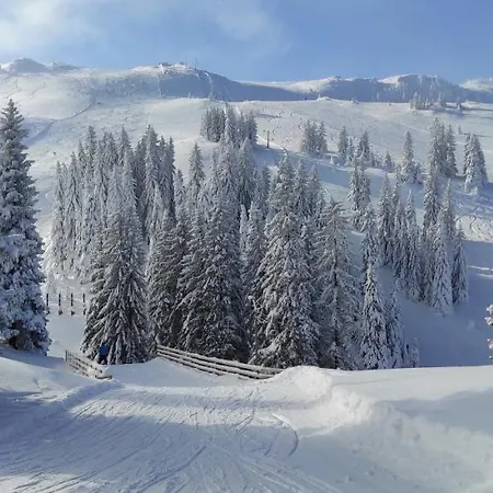 Olimpijska Kuca - A309 *