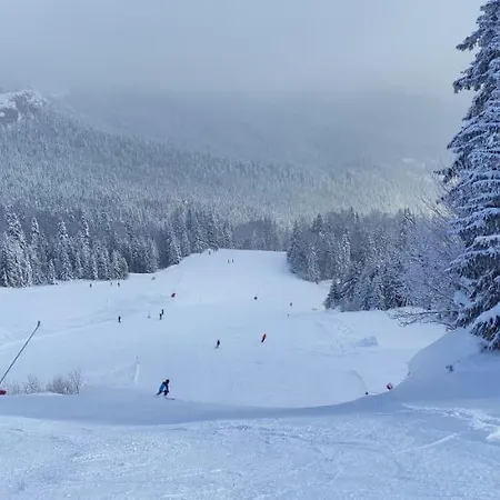 Olimpijska Kuca - A309 דירה יהורינה