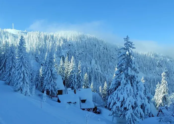 Appartamento Olimpijska Kuca - A309 *