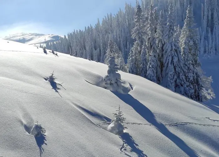 Olimpijska Kuca - A309 Appartamento *