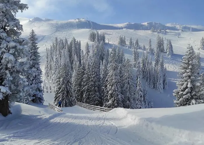 Olimpijska Kuca - A309 *