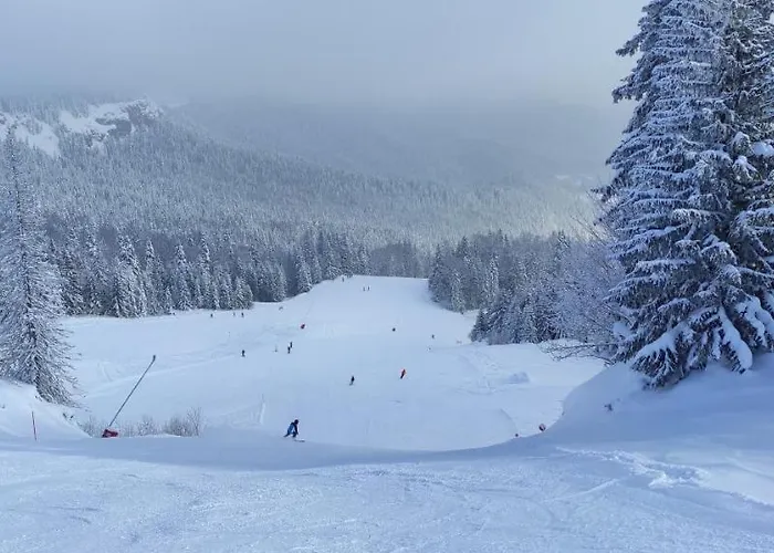 Olimpijska Kuca - A309 Appartamento Jahorina